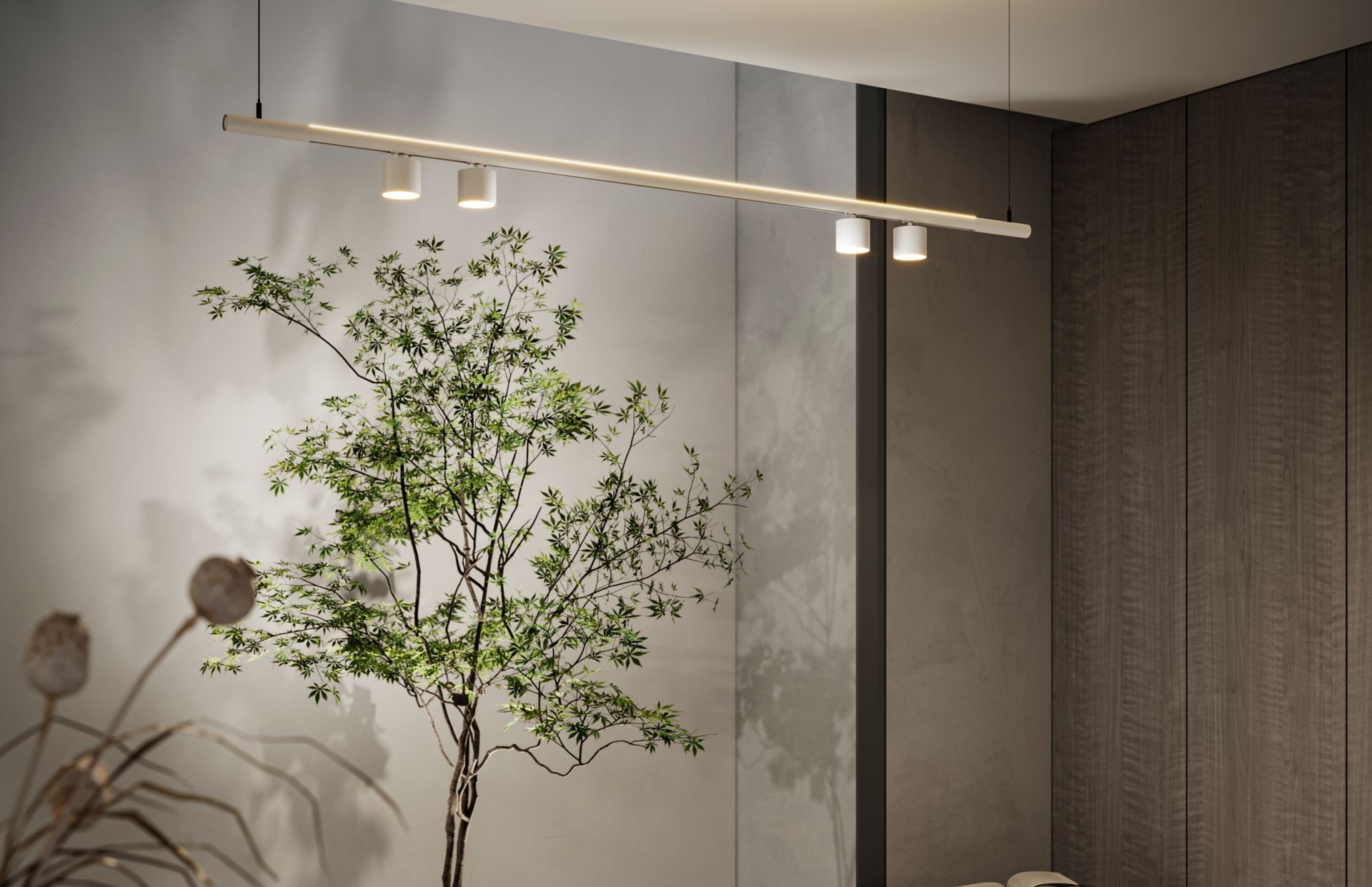 Minimalist interior with modern lighting and potted tree against a textured wall.